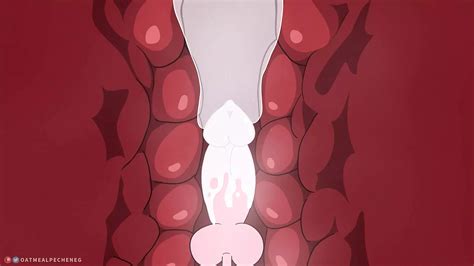 Futanari Fucked Hard Compilation Shemale Amateur Porn Feat Oatmealpecheneg Xhamster