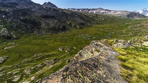 Gli ambienti umidi | Parco Nazionale Gran Paradiso