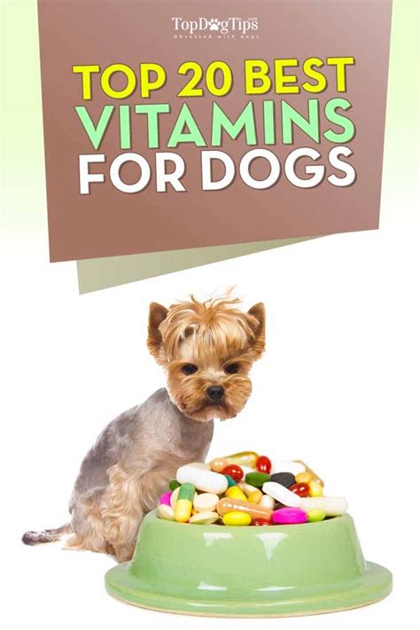 17 Best images about Dog Supplements & Dog Vitamins on Pinterest ...