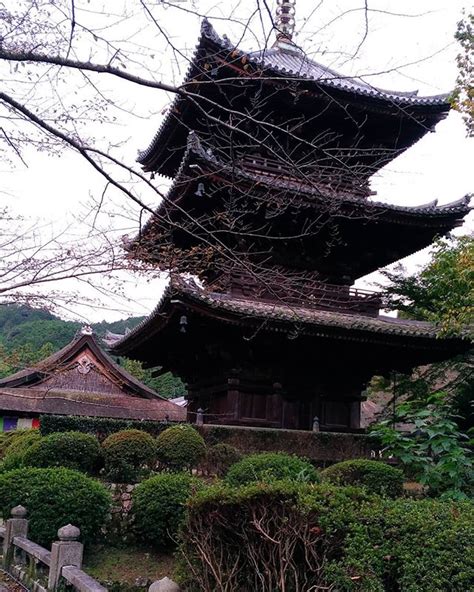 三井寺天台寺門宗総本山園城寺） 結縁灌頂（けちえんかんじょう） 園城寺塔婆三重塔 三重塔 灌頂 三井寺 園城寺 秘仏 日本三大