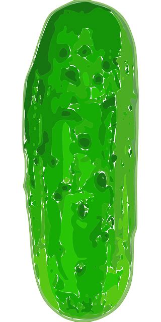 Gherkin Cucumber Green - Free vector graphic on Pixabay