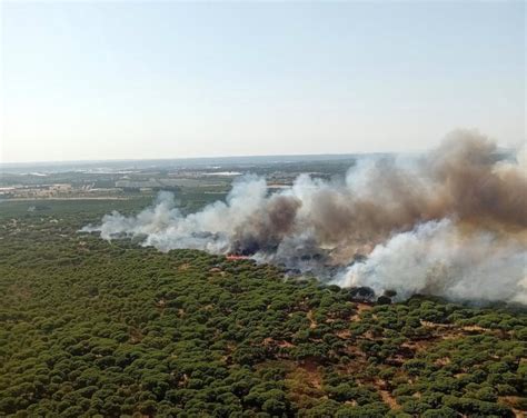 El Infoca Da Por Controlado El Incendio Forestal De Los Pinares De