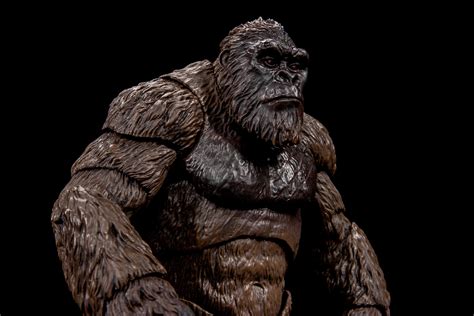 Kong 2021 Review