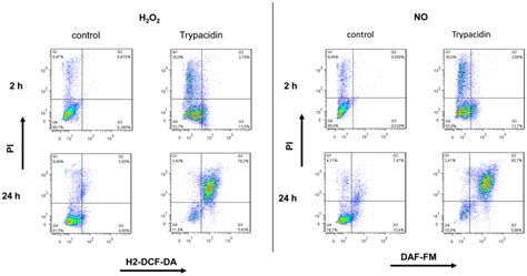 Flow Cytometry Analysis Of H2o2 And No Related To Pi Staining A549