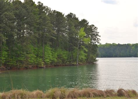 Shoal Creek Campground on Lake Lanier