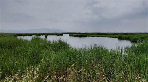 Mexico declares Lake Texcoco a protected natural area on World Water ...