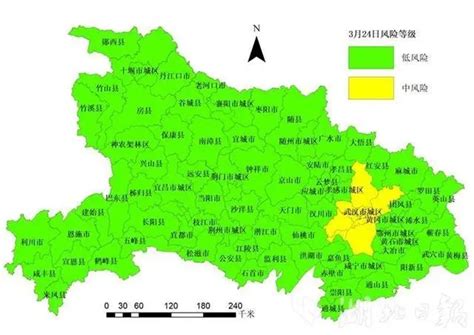 报告：热干面归队！新闻中心中国网