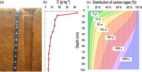 Grassland Soil Profile A The Vertical Distribution Of Organic Carbon