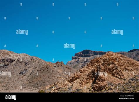 Geschichtete Felsen Mit B Schen Fotos Und Bildmaterial In Hoher