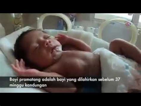 Majlis Graduasi Bayi Pramatang Preemie Hospital Shah Alam Youtube