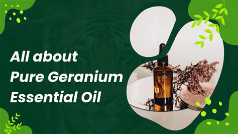 PPT All About Pure Geranium Essential Oil Glow PowerPoint