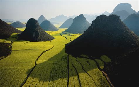 Rapeseed, Hill, Landscape, Nature, China, Mist, Sunlight Wallpapers HD / Desktop and Mobile ...