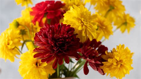 Top 10 Long Lasting Flowers for Bouquets - Blossoming Gifts