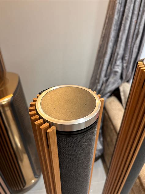 Bang Olufsen Beolab Oak Skynnexav