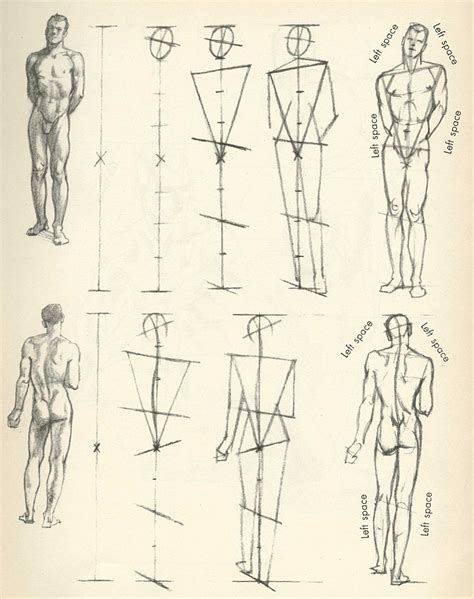 un repaso a los cánones no está mal de vez en cuando Figure drawing