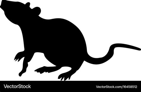 Rat Royalty Free Vector Image - VectorStock