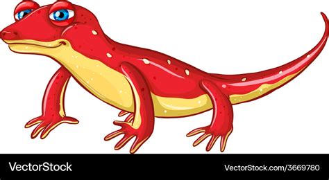 Lizard Royalty Free Vector Image - VectorStock