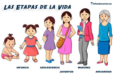 Las Etapas De La Vida Para Ni Os De Primaria Infoeducacion Es