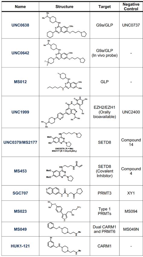 HMT Inhibitors Research At Jian Jin Laboratory