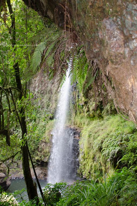 Materuni Waterfalls & Coffee Tour - Africa Outdoors