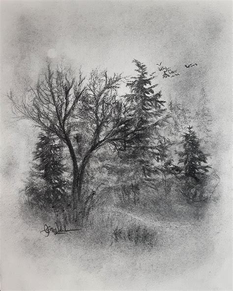 Just Wandering. Original Charcoal Forest Landscape Drawing. Charcoal ...