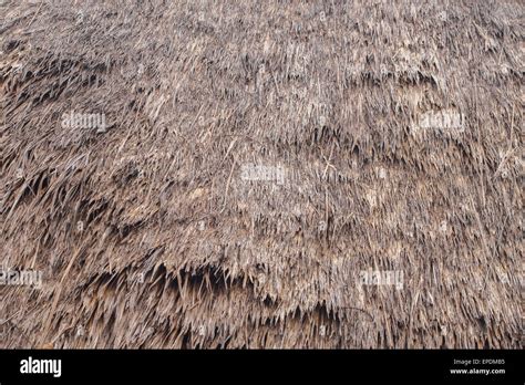 Texture thatch roof hi-res stock photography and images - Alamy