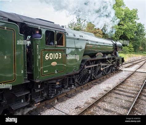 The Flying Scotsman 60103 steam locomotive at Crowcombe Heathfield ...