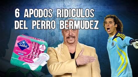 6 Apodos Ridiculos Del Perro Bermudez Microtop Youtube