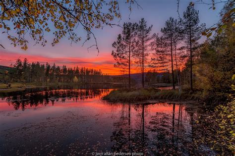 Wallpaper Trees Landscape Forest Sunset Lake Nature Reflection