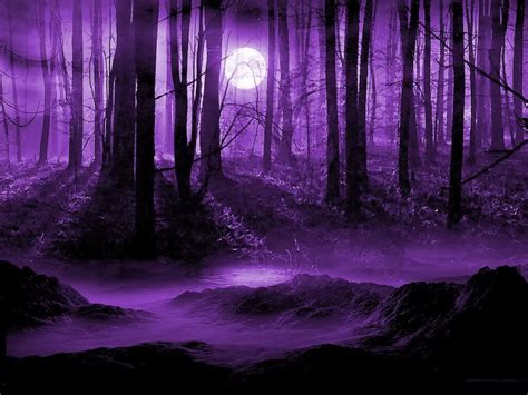 Purple Woods Graphics Code Purple Woods Comments And Pictures