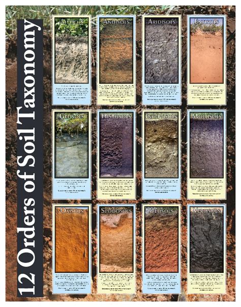 Soil Taxonomy Poster Soil Classification Soil Taxonomy