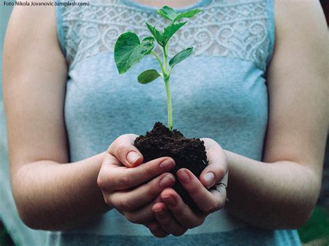 Terra sempre più preziosa La Giornata mondiale dellambiente indetta