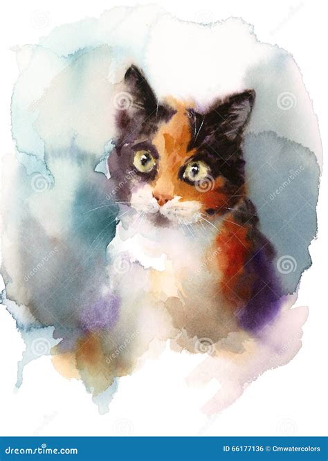 Calico Cat Watercolor Pet Portrait Illustration Hand Painted Stock