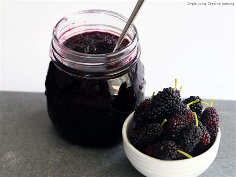 Homemade Mulberry Jam - Simple Living. Creative Learning