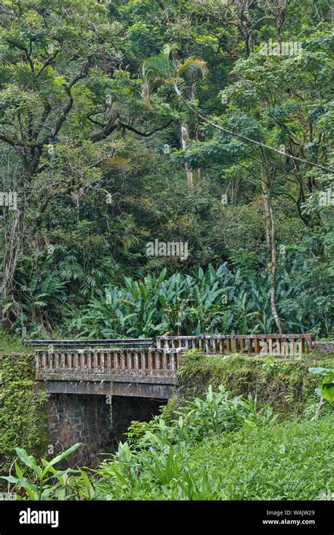 One of 59 bridges on the Hana Highway, Maui, Hawaii Stock Photo - Alamy