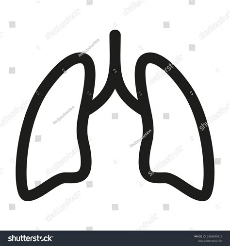 Human Lung Line Icon Lungs Outline Stock Vector Royalty Free