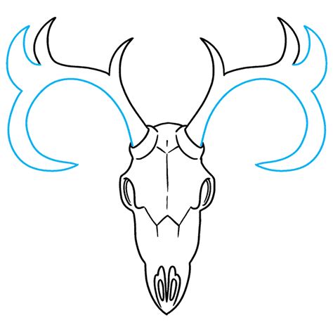 How to Draw a Deer Skull - Really Easy Drawing Tutorial