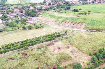 Teren Intravilan De Vanzare SALDABAGIU DE MUNTE 106 437 Bihor