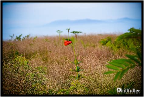 Grassy Ridge Hiking Bill