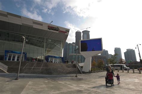 Toronto Police Lay Charges Against Man Accused Of Jumping Naked Into Shark Tank The Globe And Mail