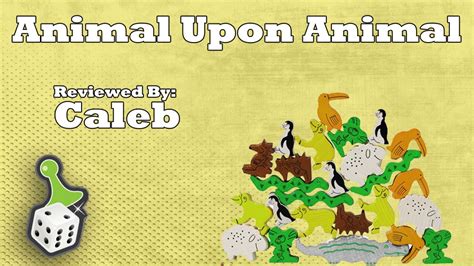 Board Game Review Animal Upon Animal Youtube