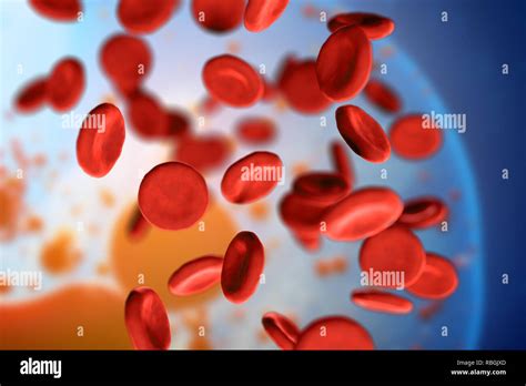 D Illustration Of Red Blood Cells Erythrocytes Close Up Under A