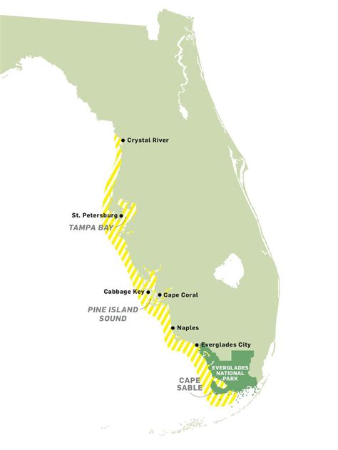 snook fishing spots in Florida | Salt water fishing, Fishing tips ...