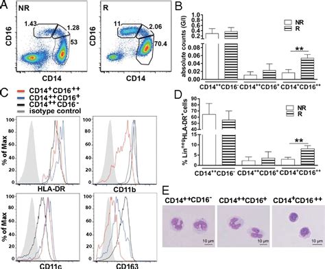 Ipilimumab Dependent Cell Mediated Cytotoxicity Of Regulatory T Cells