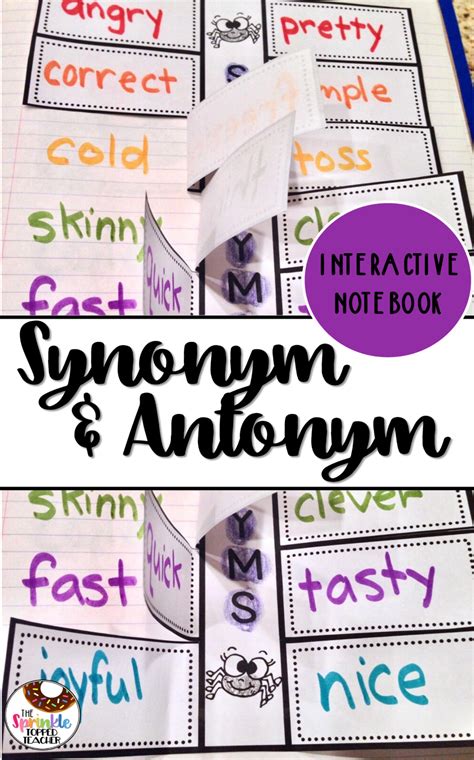 Download High Quality Transparent Synonym Antonyms Transparent Png