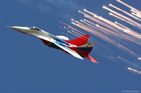 Стрижи и русские витязи | Пикабу