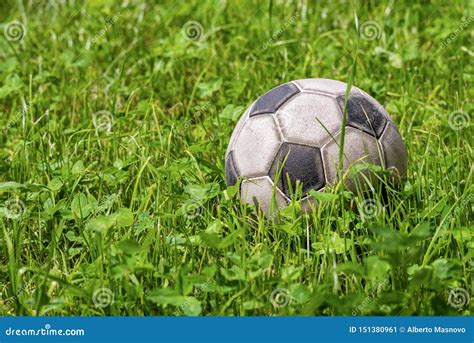 Leather Soccer Ball On Green Grass Football Sport Stock Image Image Of Activity Copy 151380961