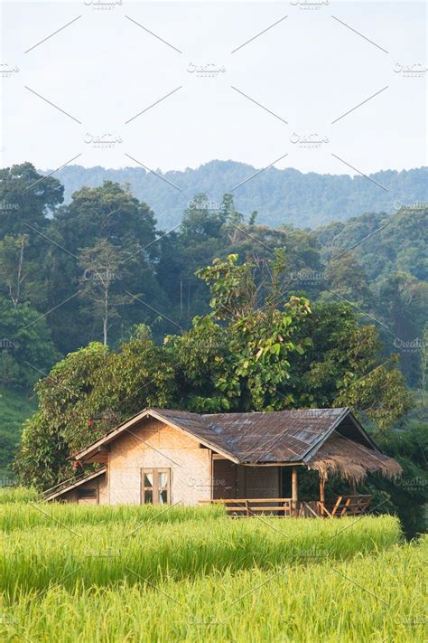 House And Rice Fields Featuring House Farm And Asia Landscape