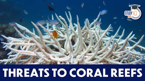 Threats To Coral Reefs