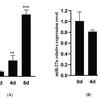 Temporal Expression Pattern Of MiR 27a And CPT1B Under Ovine